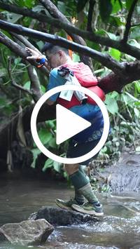 BIB:  <button type="button" onclick="openModal(27238615)" class="btn btn-primary btn-sm float-right" data-toggle="modal" data-target=".modal-high-quality">
                <i class="fa fa-download"></i> Download
                </button>